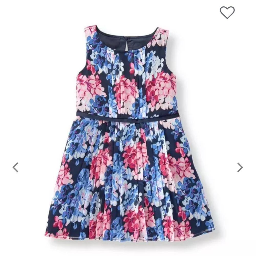 EUC Janie and Jack Hydrangea Chiffon Dress blue pink size 3